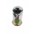 Black forever - preserved rose in  glass bell